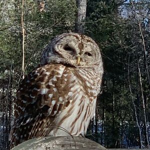 Meet your Posher, Wendy